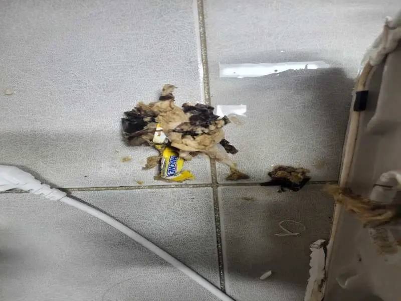 안성 배관 이물질 제거 사례 2